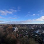 Blick über Hamburg Bild II