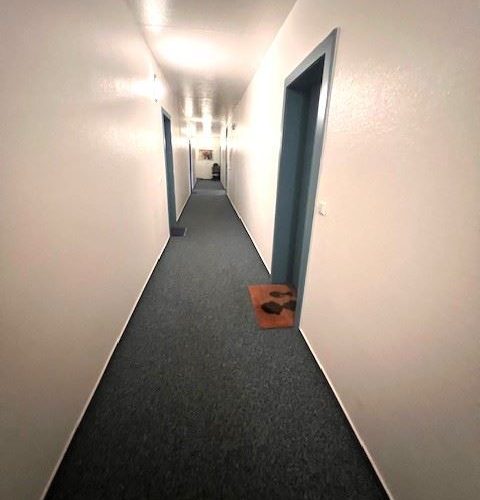 Wohnungsflur Bild I