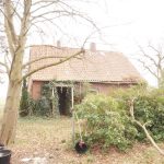 Bild III